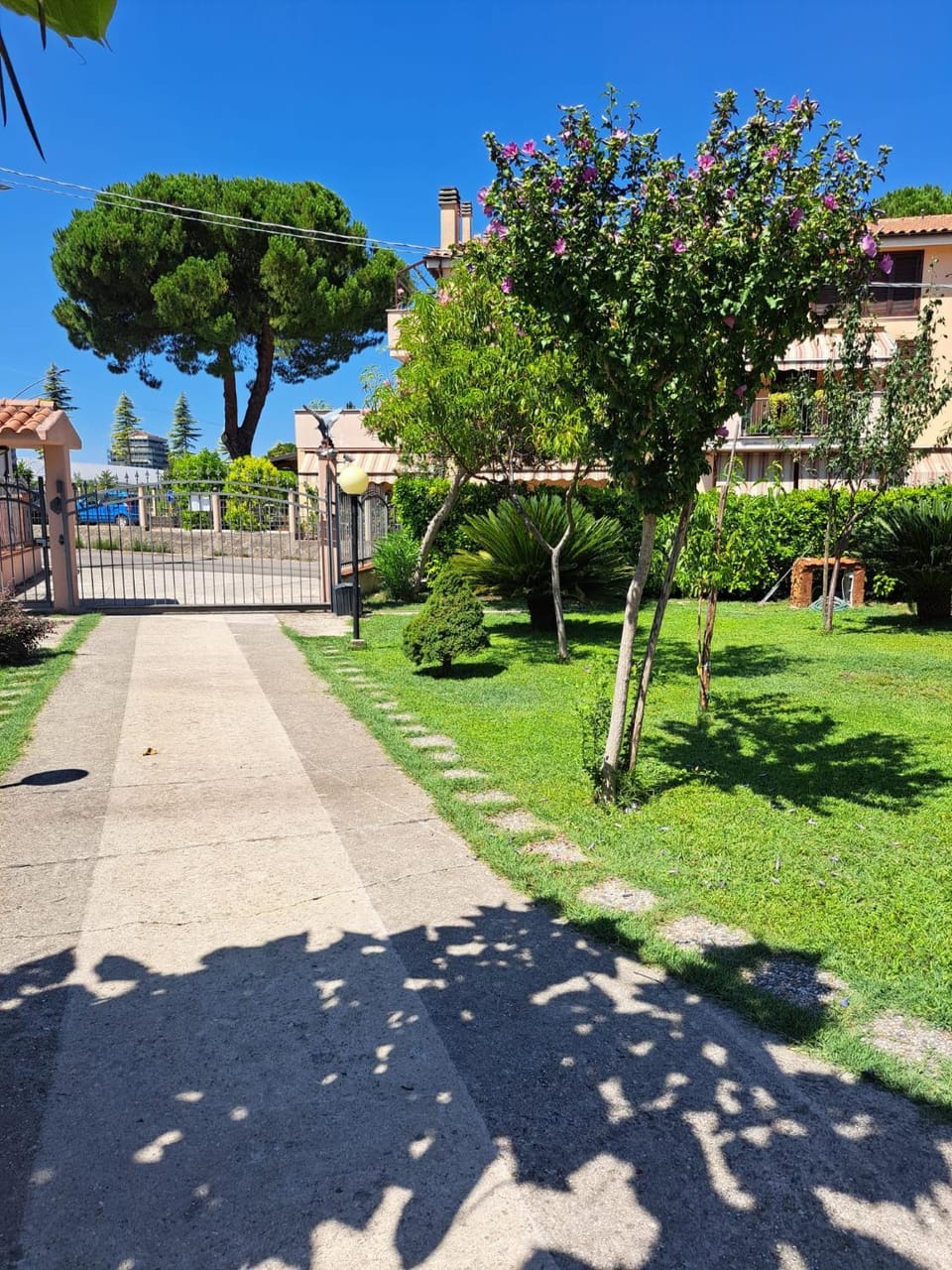 Garden, Garden view, Street view