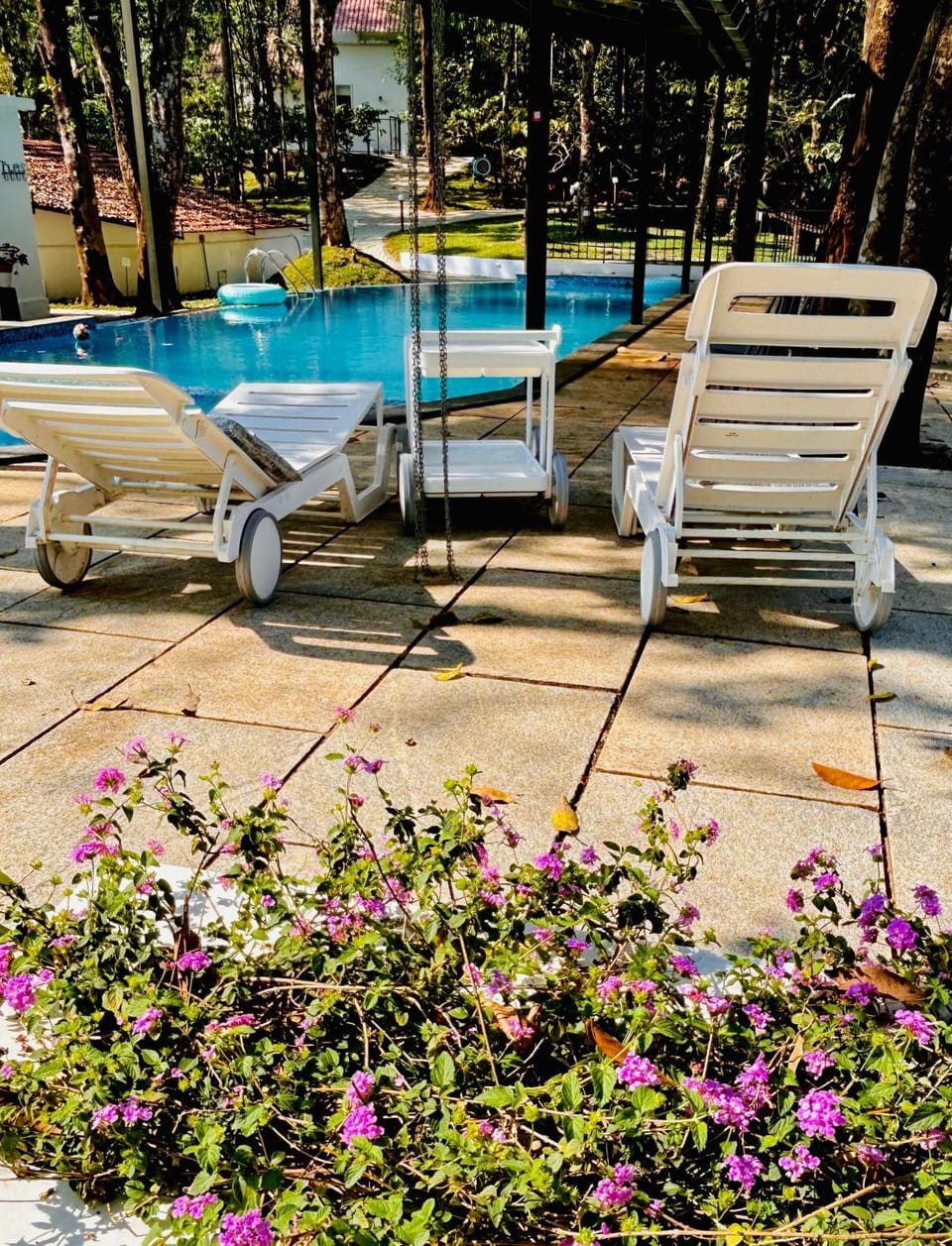 Pool view, Swimming pool, sunbed