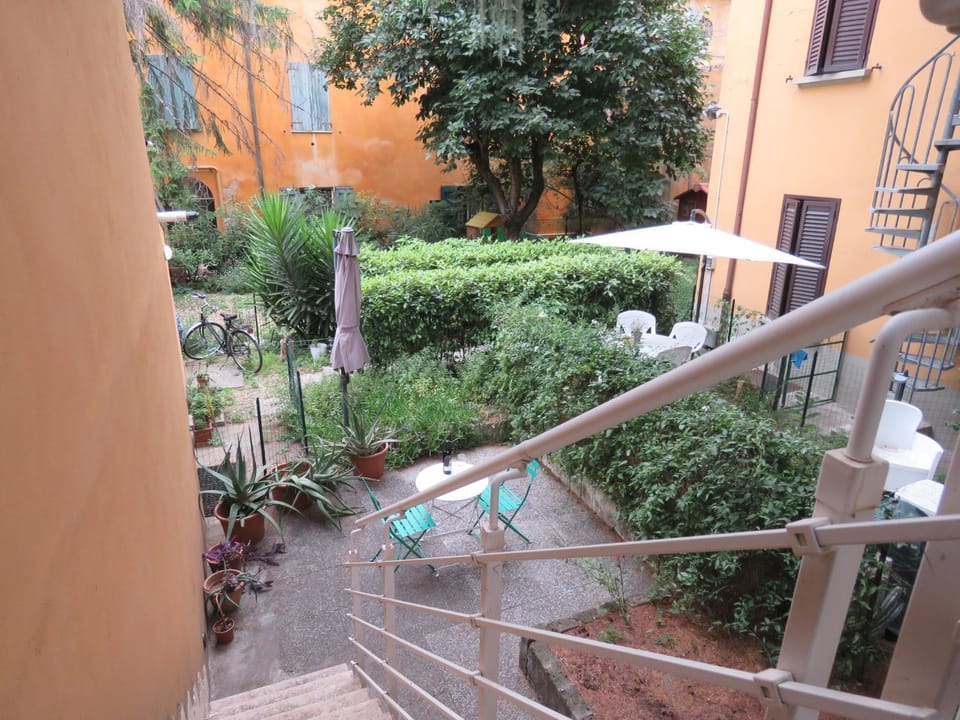 Spring, Garden, Garden view