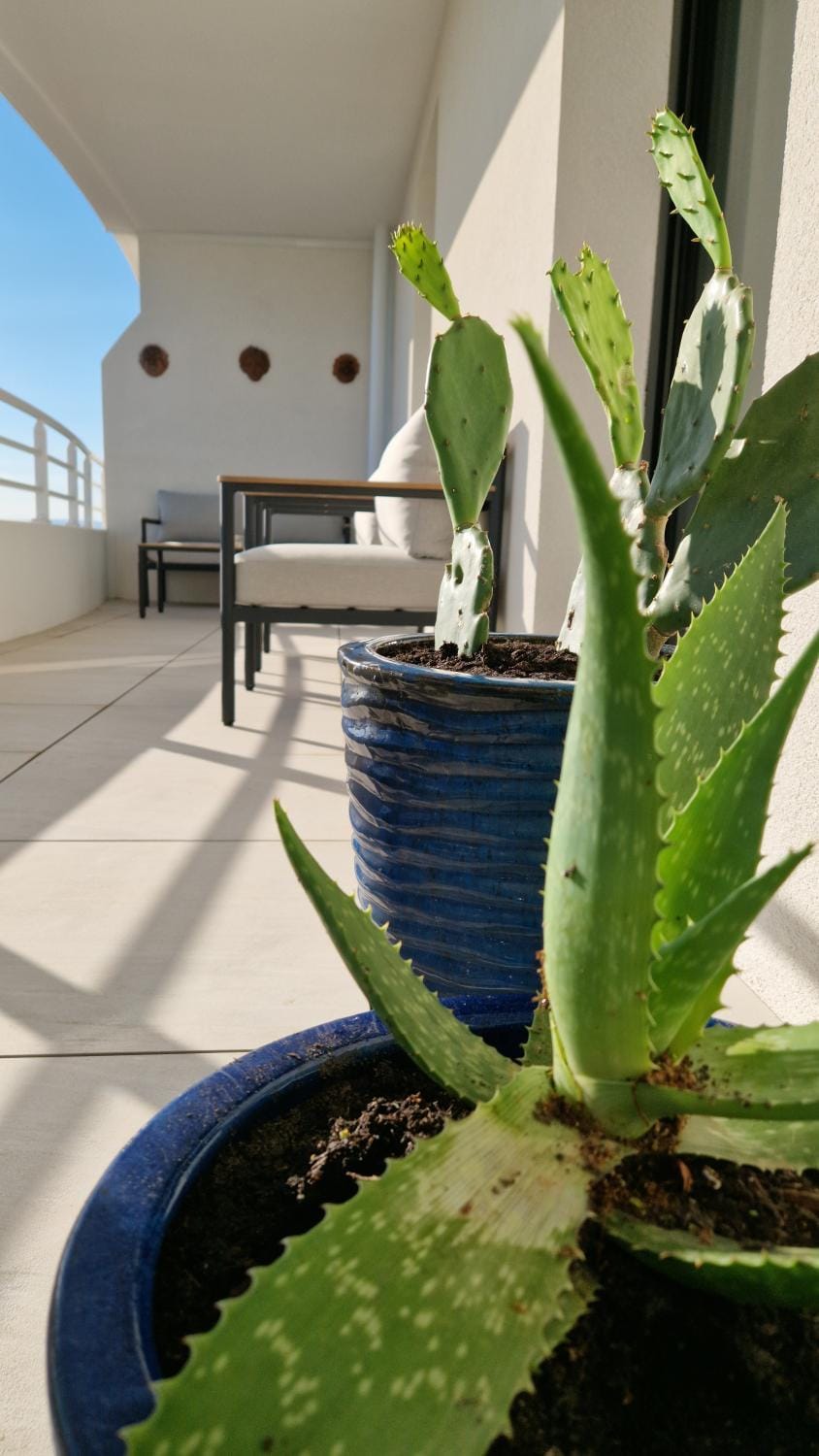 Patio, Day, View (from property/room), Balcony/Terrace