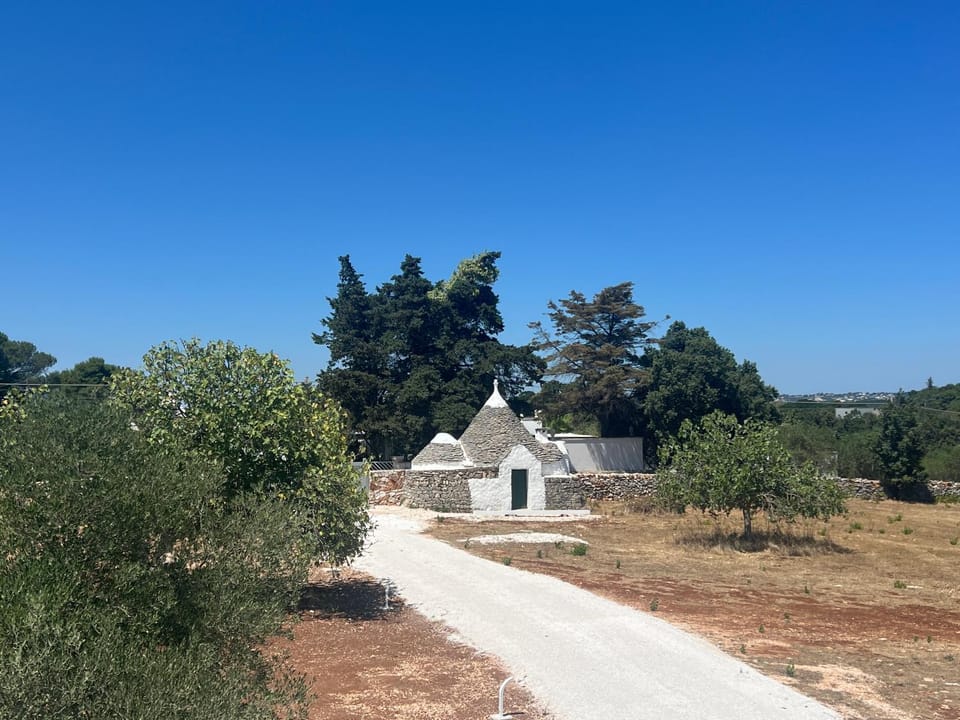 Property building, Garden view