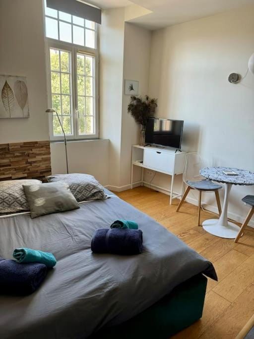 5 - Cosy Studio in Old Antibes Apartment in Antibes