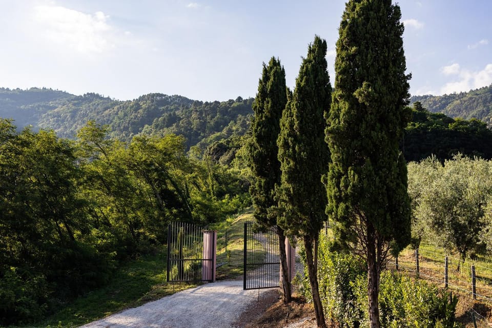 Natural landscape