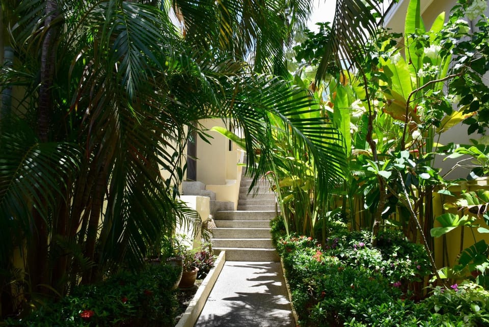 Facade/entrance, Garden