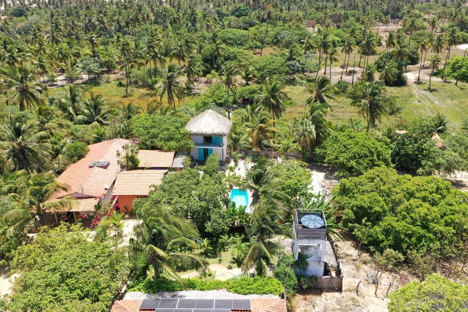Bird's eye view, Garden, Garden view