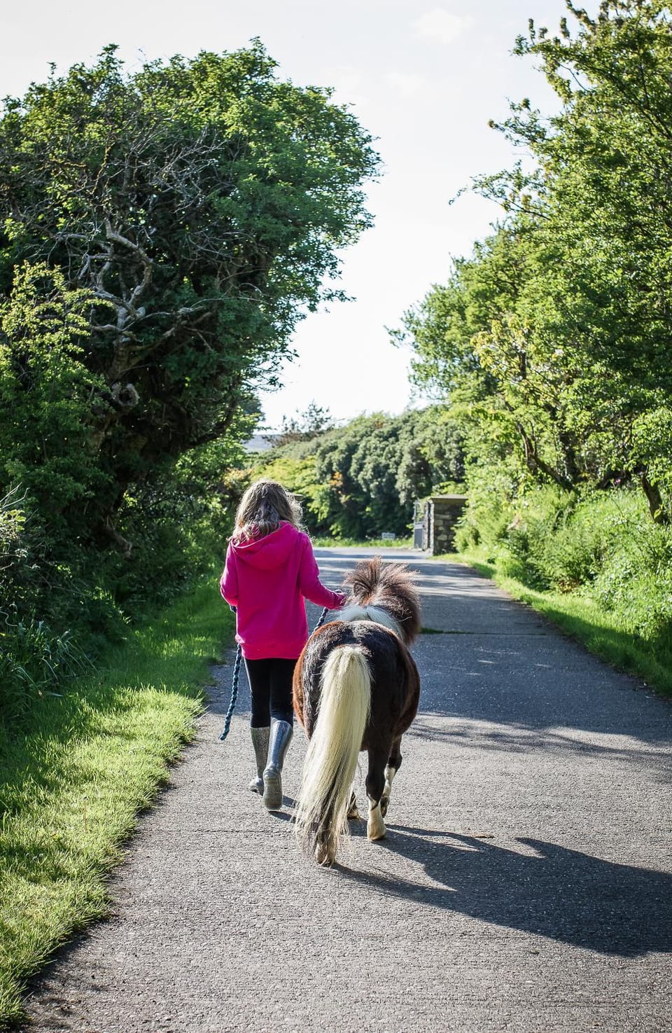 Kionslieu Farm Cottages Apartment in Isle of Man