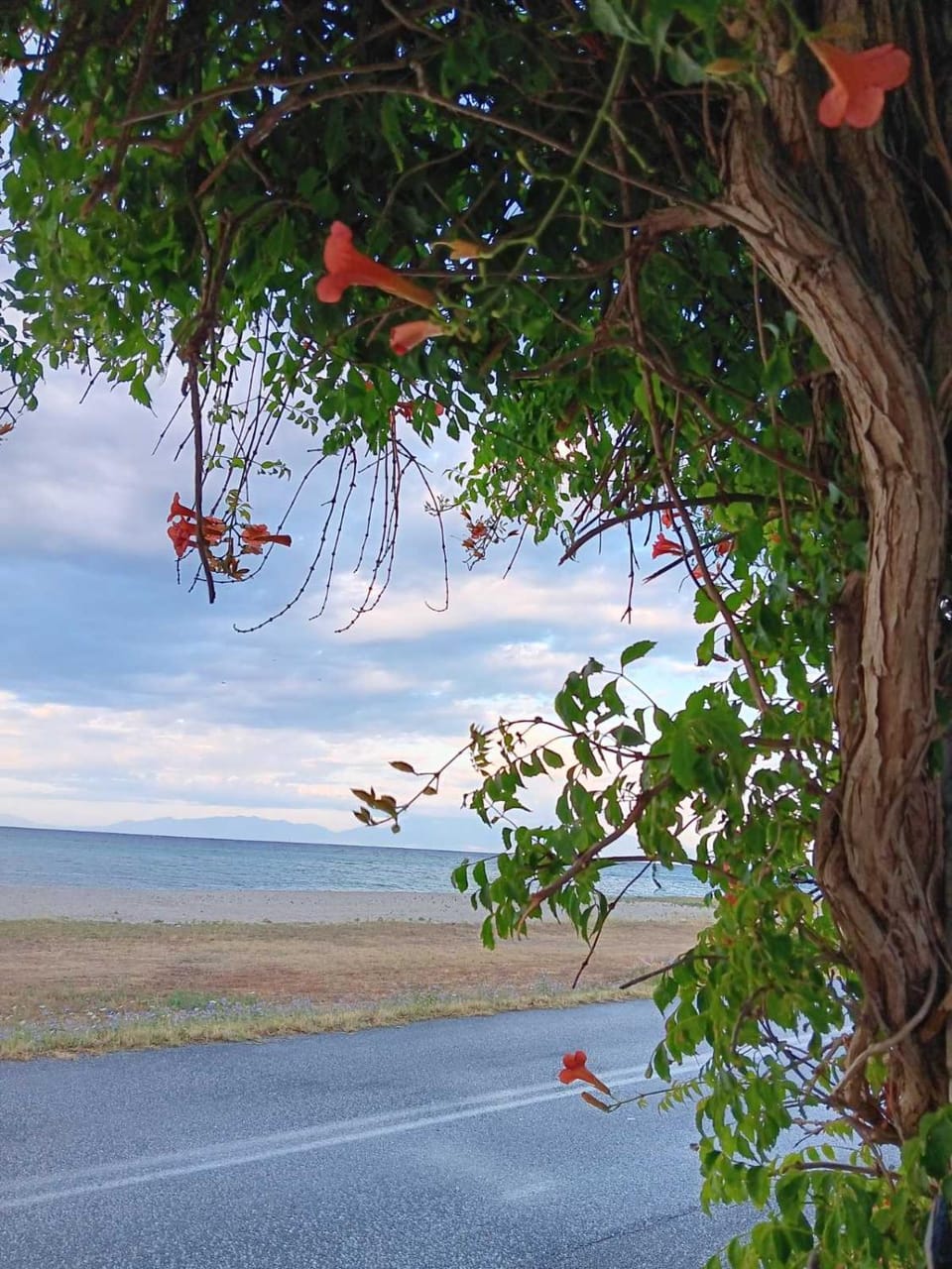 Halkidiki sea view House in Halkidiki
