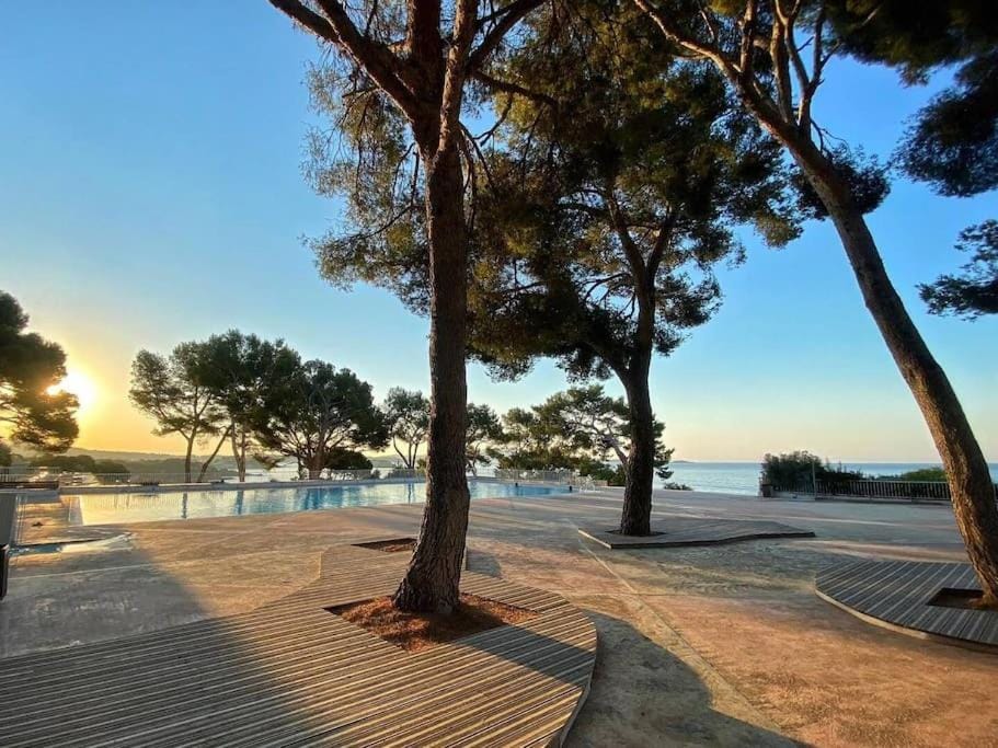 Natural landscape, Beach, Sea view, Swimming pool
