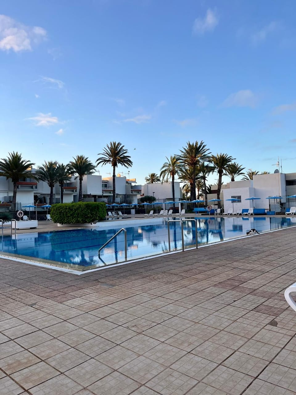 Swimming pool