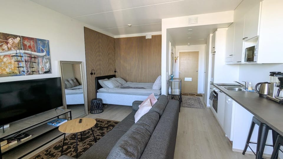 Communal lounge/ TV room, Bed, TV and multimedia, Kitchen or kitchenette, Living room, Photo of the whole room, Seating area, Dining area, Evening entertainment, Bedroom