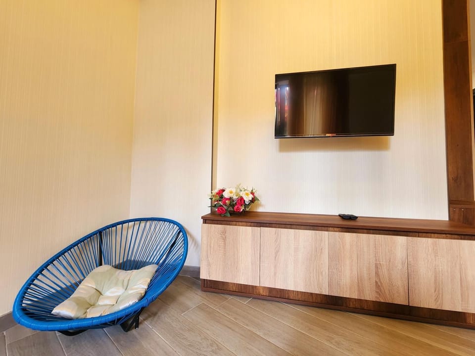 TV and multimedia