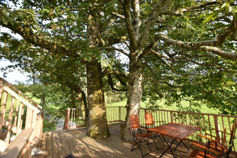 Garden, Balcony/Terrace