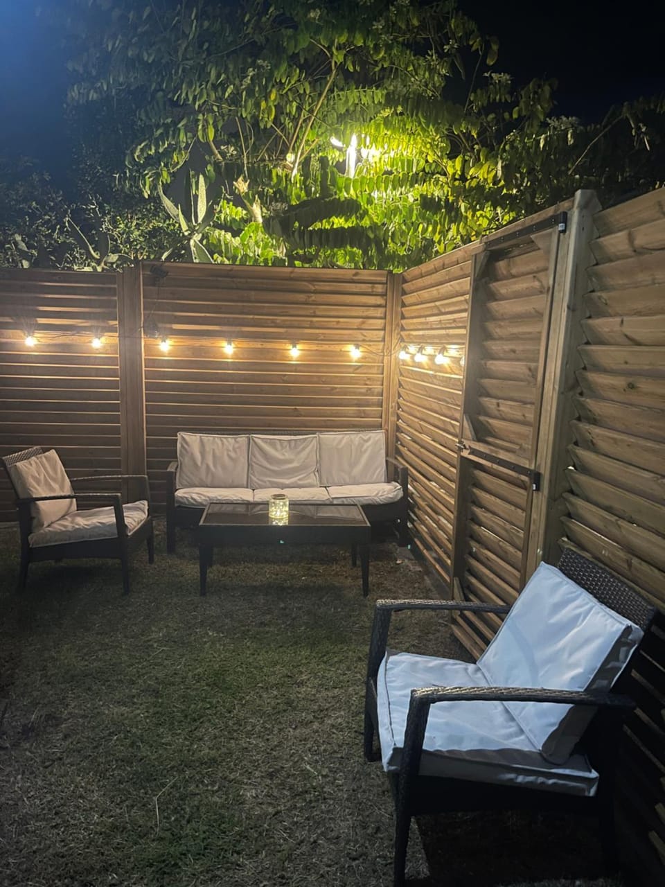 Night, Garden, Garden view
