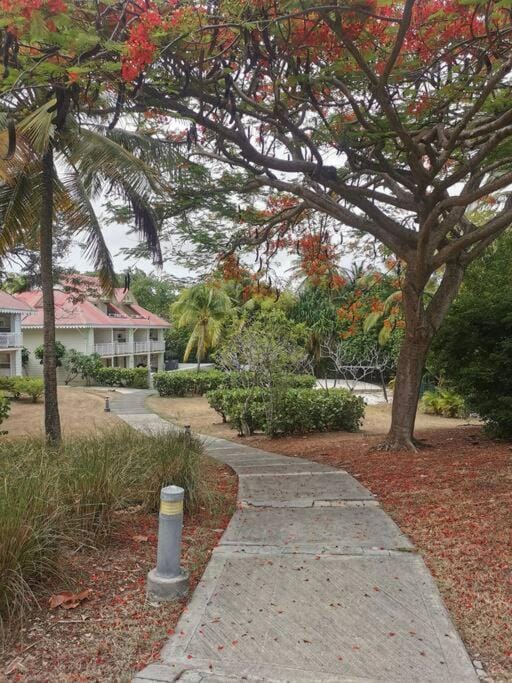Natural landscape, Garden