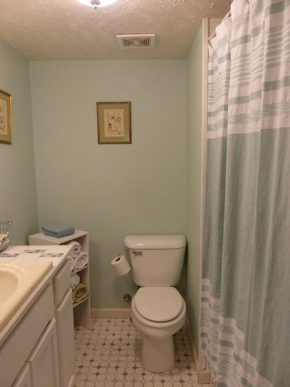 Charming Country Retreats near Eureka Springs - Beaver Lake and White River - Two 4BD - 2BA Full Houses and a 1Bd Unit House in Carroll County