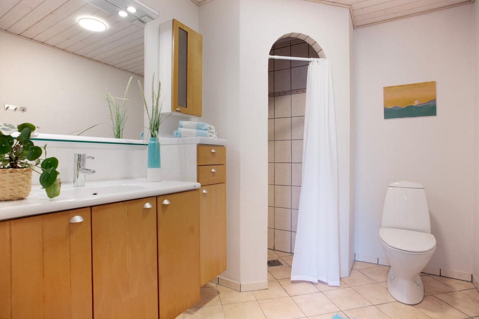 Shower, Toilet, Bathroom, Public Bath, Public Bath, towels
