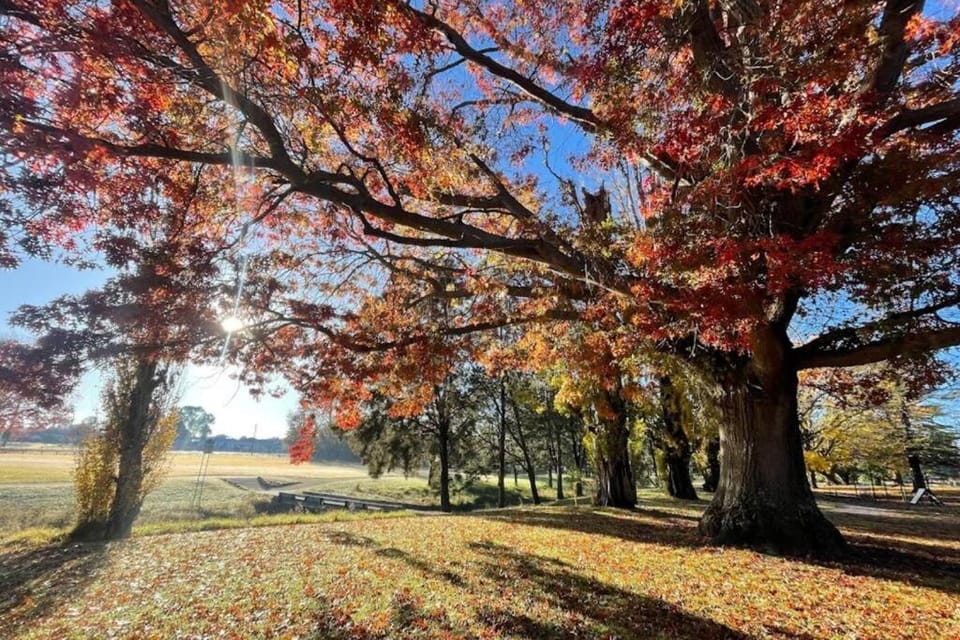 The Workers Cottage House in Tenterfield