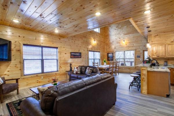 Escape to Nature's Embrace - Indoor Pool & Theatre House in Gatlinburg