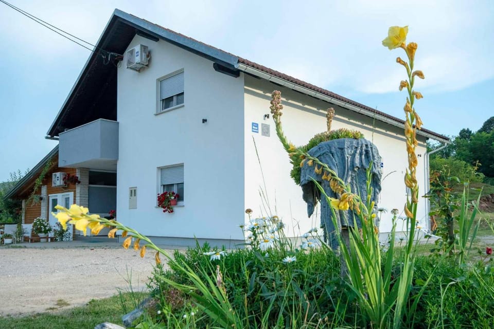 Property building, Day, Garden view
