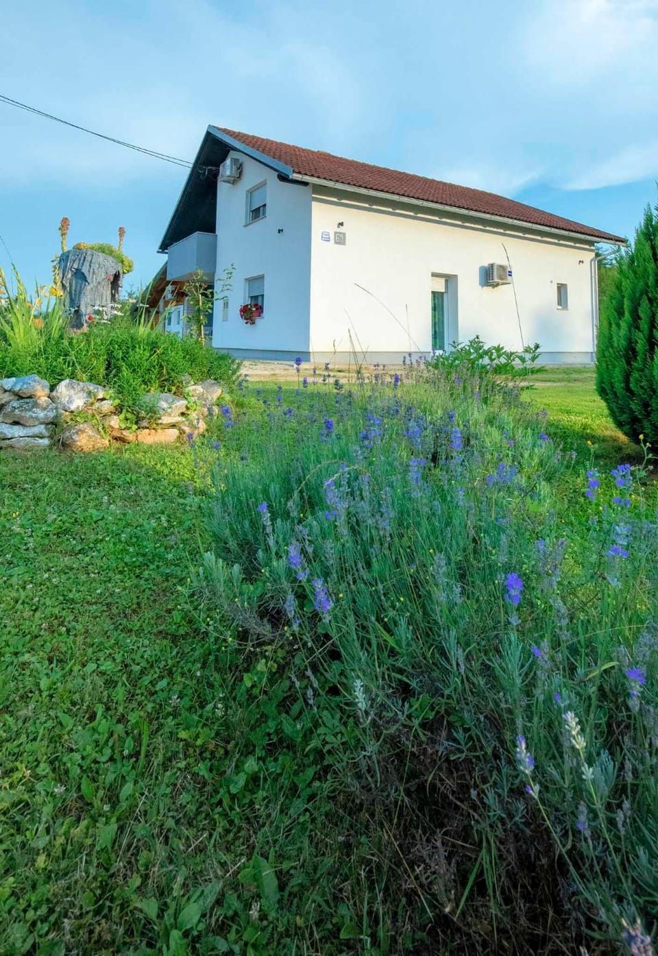 Property building, Garden, Garden view