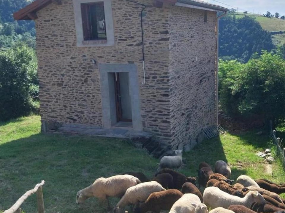 Gîte rénové avec terrasse et animaux acceptés à Saint-Chamond - FR-1-496-324 House in Saint-Étienne