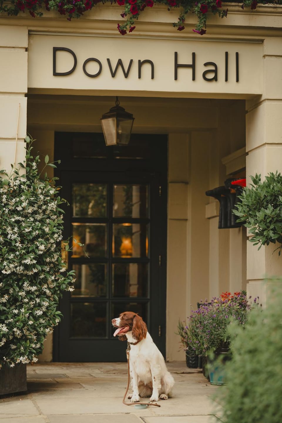 Down Hall Hotel Hotel in Uttlesford