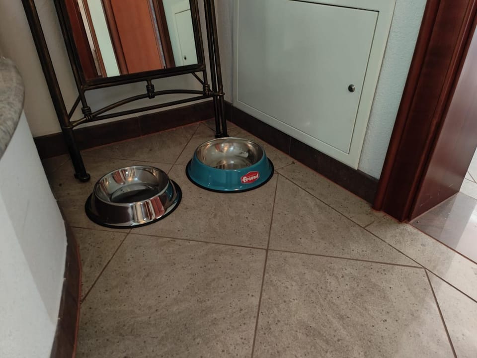 pet friendly