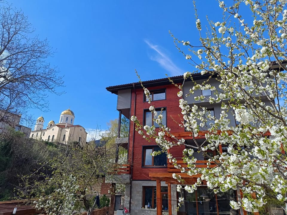 Property building, Spring, Day, View (from property/room), City view