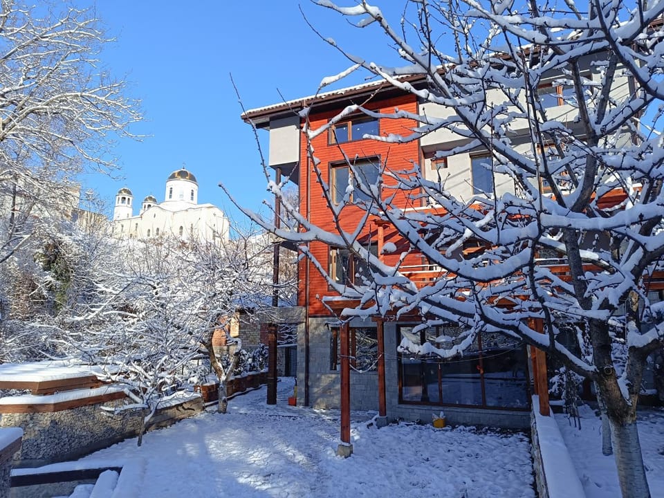 Property building, Day, Winter, Garden, Garden view
