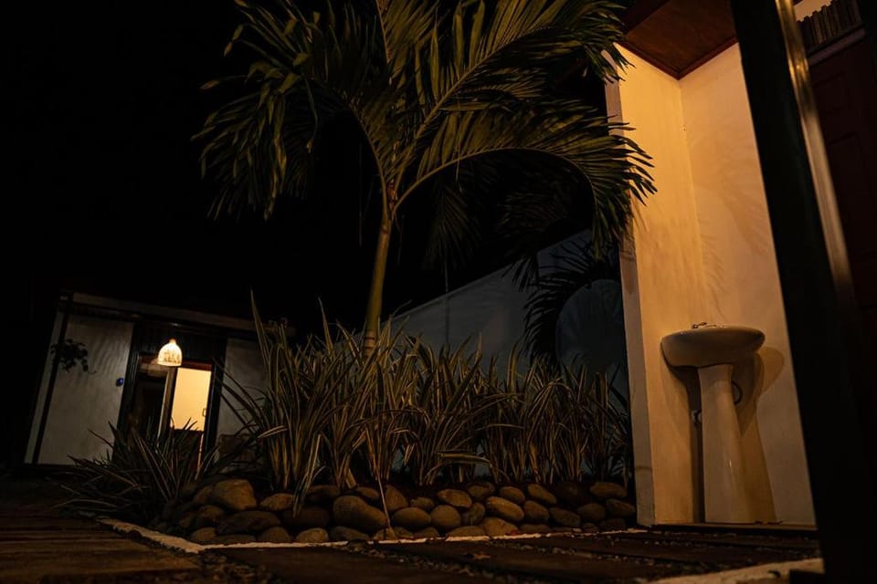 Property building, Night