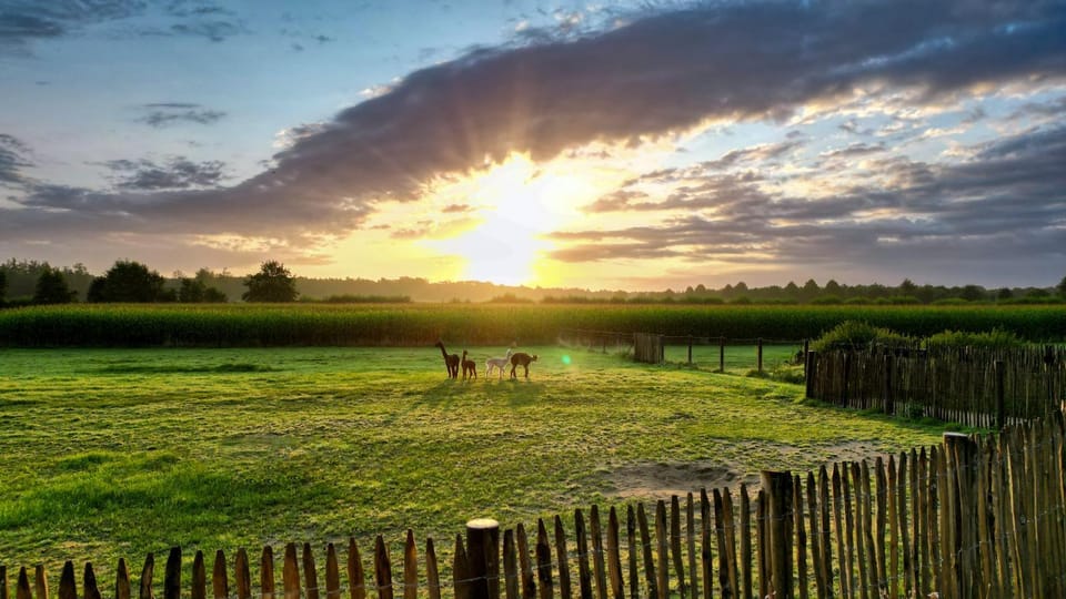 Day, Natural landscape, Sunrise, Sunset