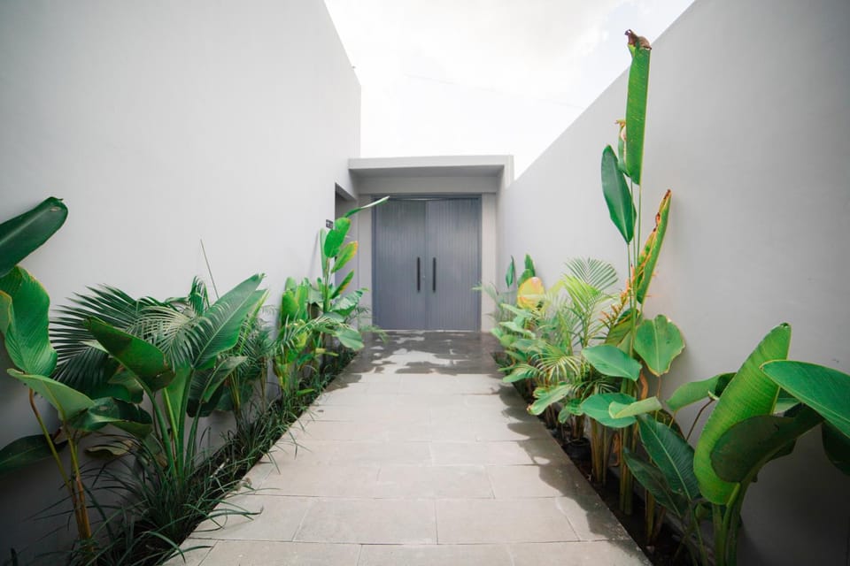 Garden view