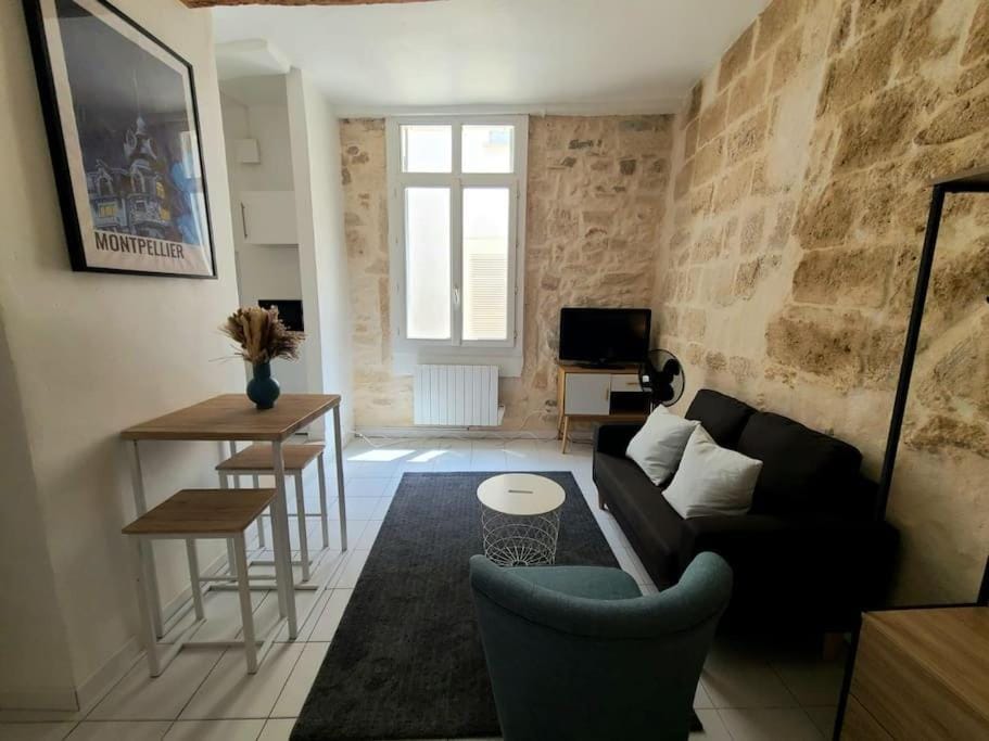 Appartement Cosy et Calme - Centre historique Apartment in Montpellier