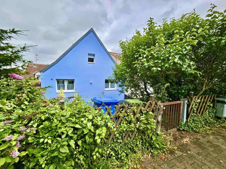 Property building, Garden, Garden view