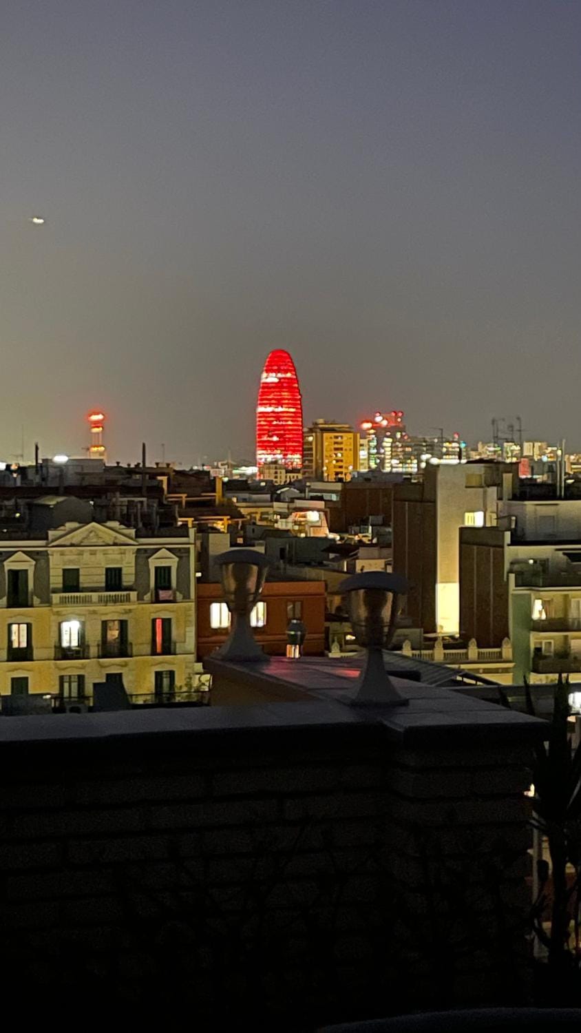 Spacious Penthouse with big private terrace & view Apartment in Barcelona