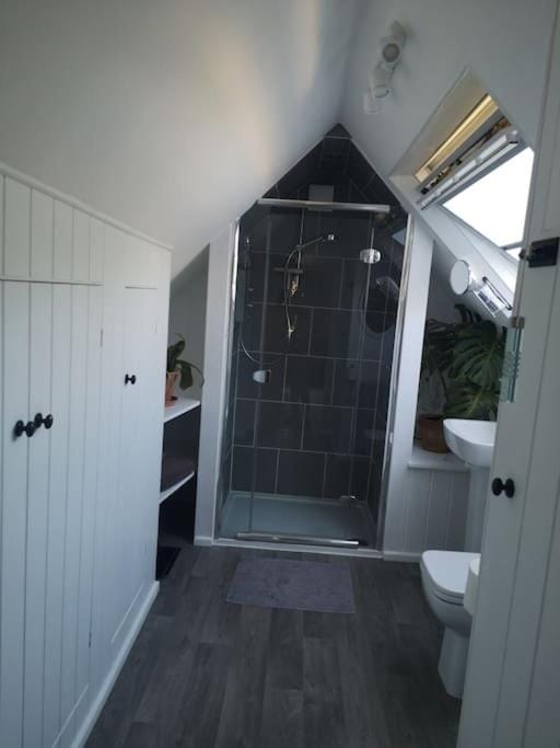Shower, Toilet, Bathroom