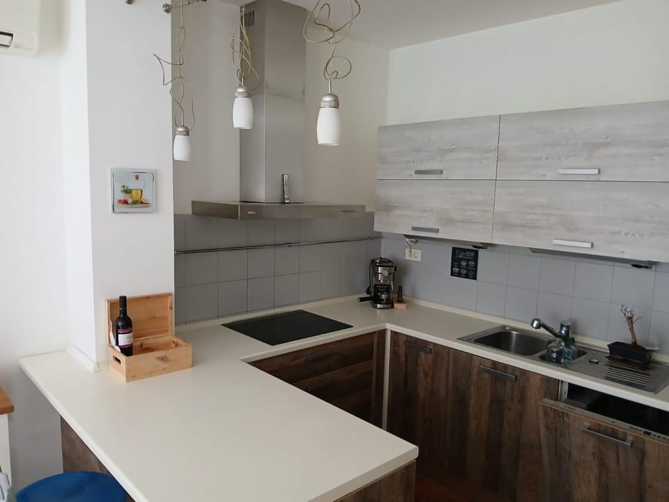 Kitchen or kitchenette, dishwasher, stove, toaster