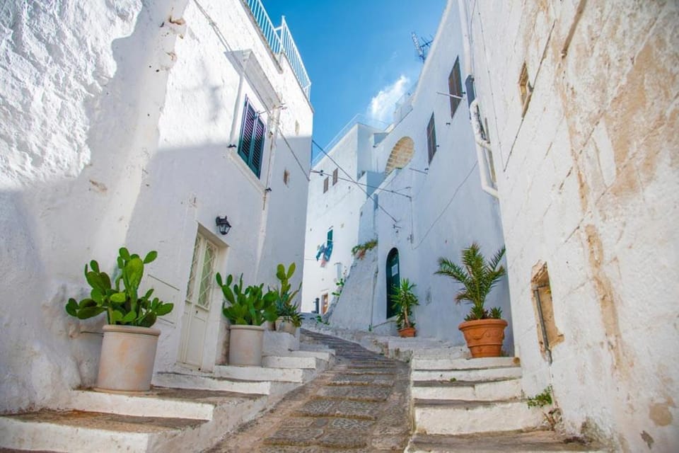 Casa Ficus Ostuni con terrazza vista mare Apartment in Ostuni