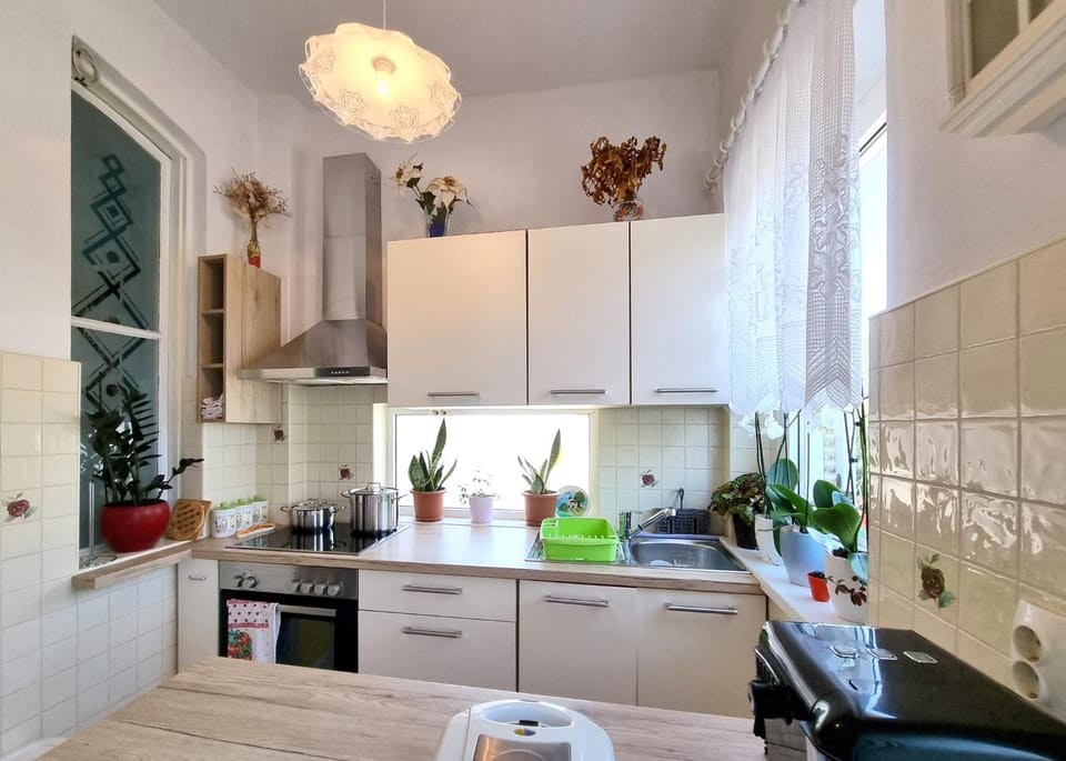 Kitchen or kitchenette, dishwasher