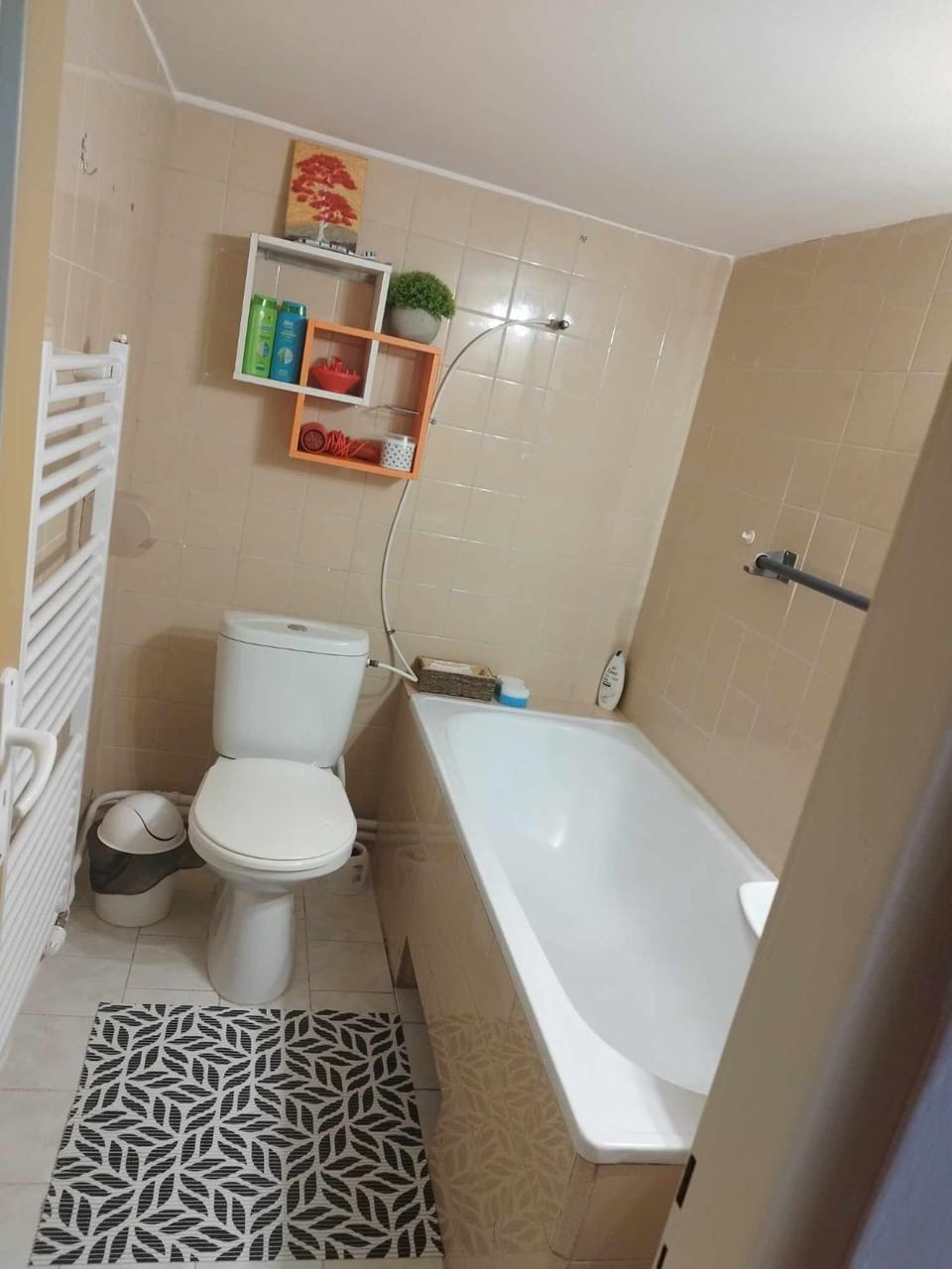 Shower, Toilet, Bathroom, Bath