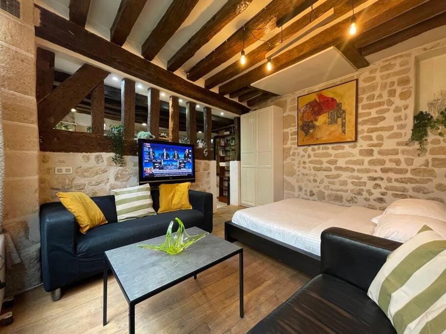 Amélie - Authentic 2BR Saint-André des Arts Historic Courtyard Apartment in Paris