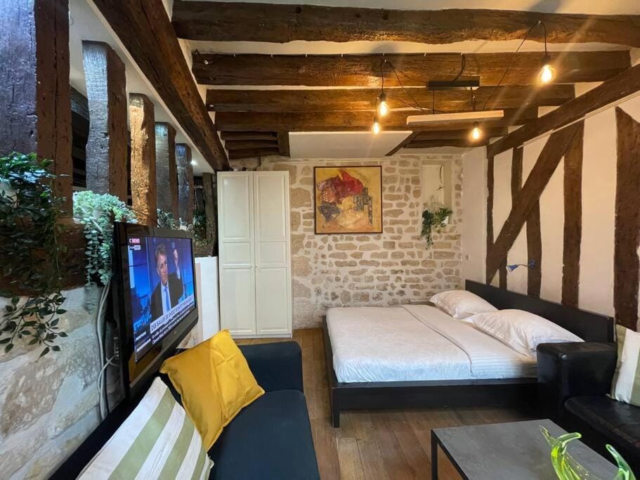 Amélie - Authentic 2BR Saint-André des Arts Historic Courtyard Apartment in Paris