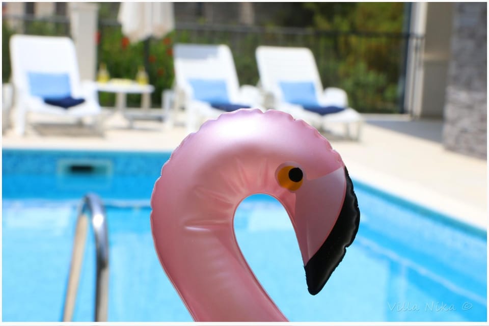 Pool view, Swimming pool, Swimming pool