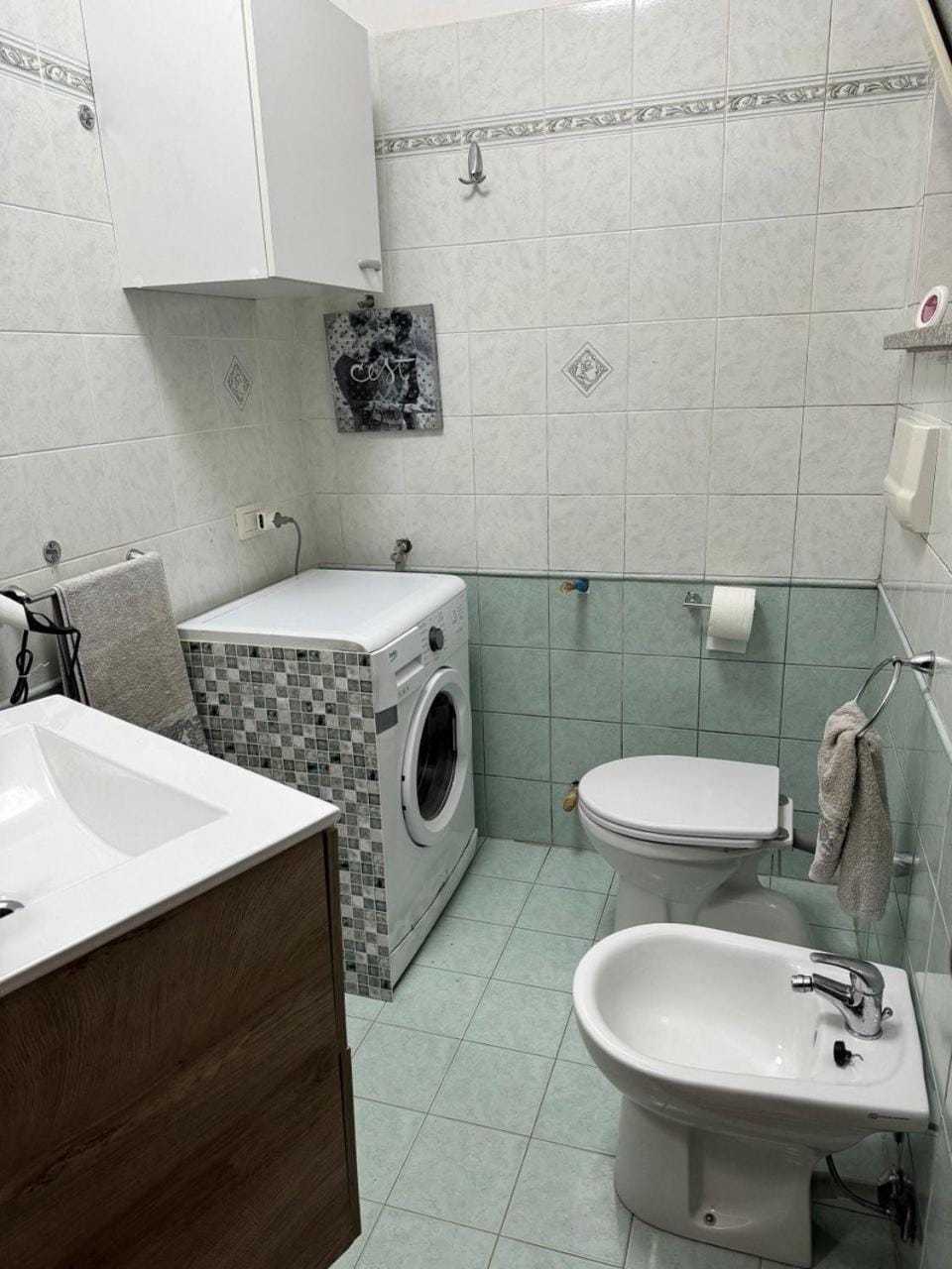 Shower, Bathroom, bidet, towels, washing machine