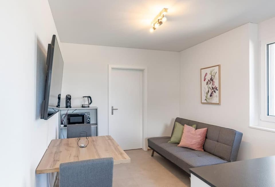 Rothorn Studio - Aare Jungfrau AG Apartment in Canton of Bern (Region)