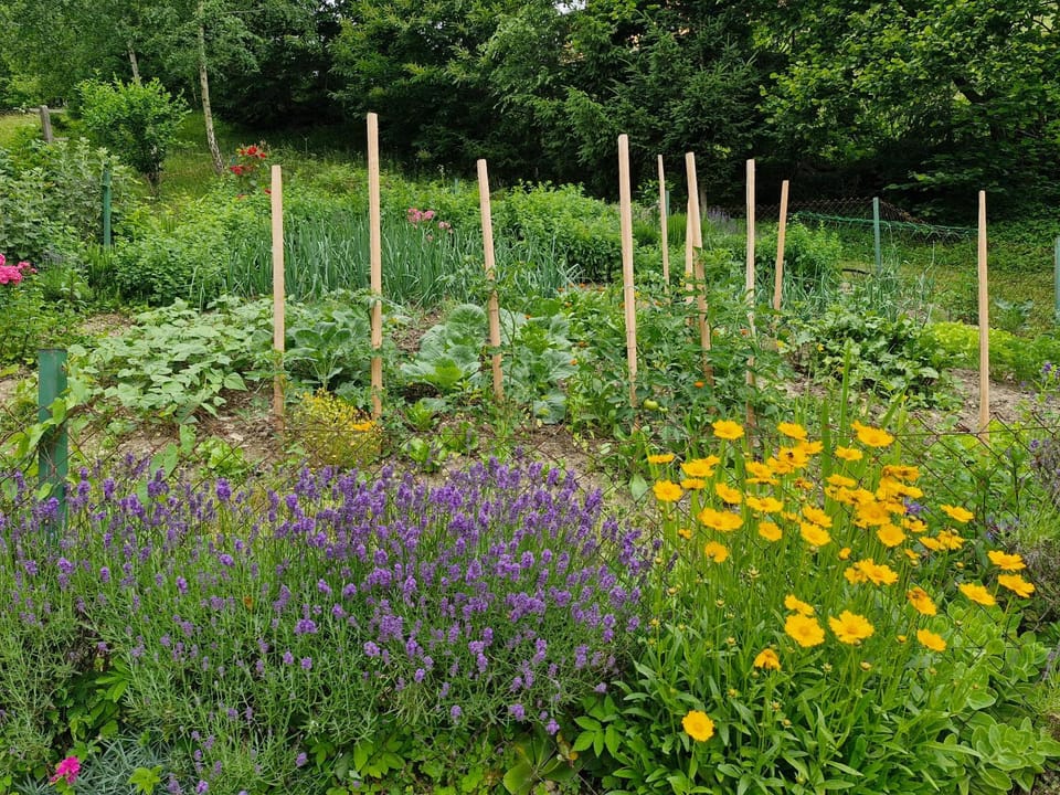 Natural landscape, Garden, Garden view