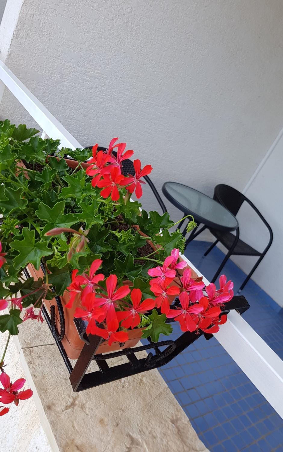 Natural landscape, Bathroom, Balcony/Terrace, Decorative detail, Bedroom