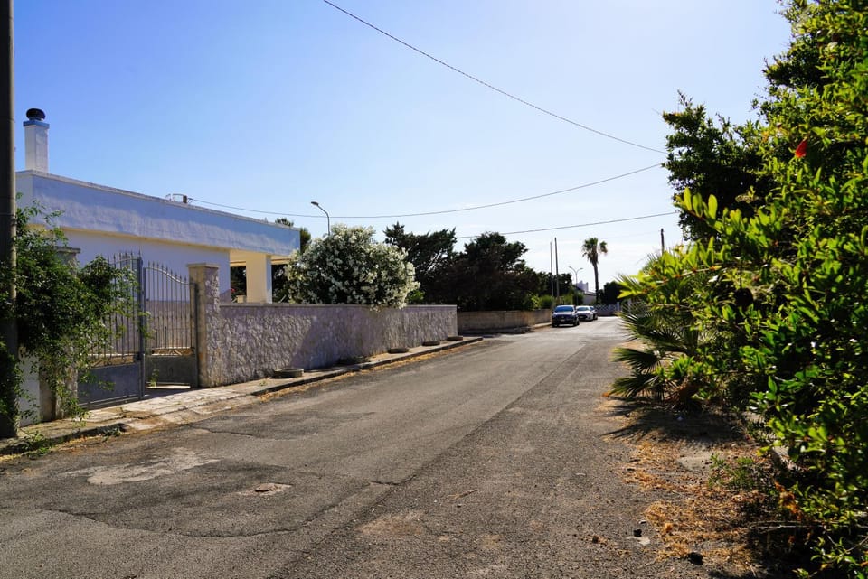 Day, Neighbourhood, Street view