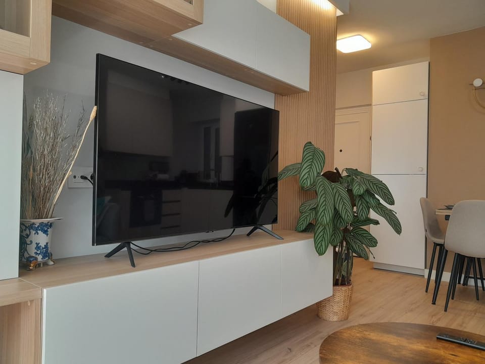 TV and multimedia