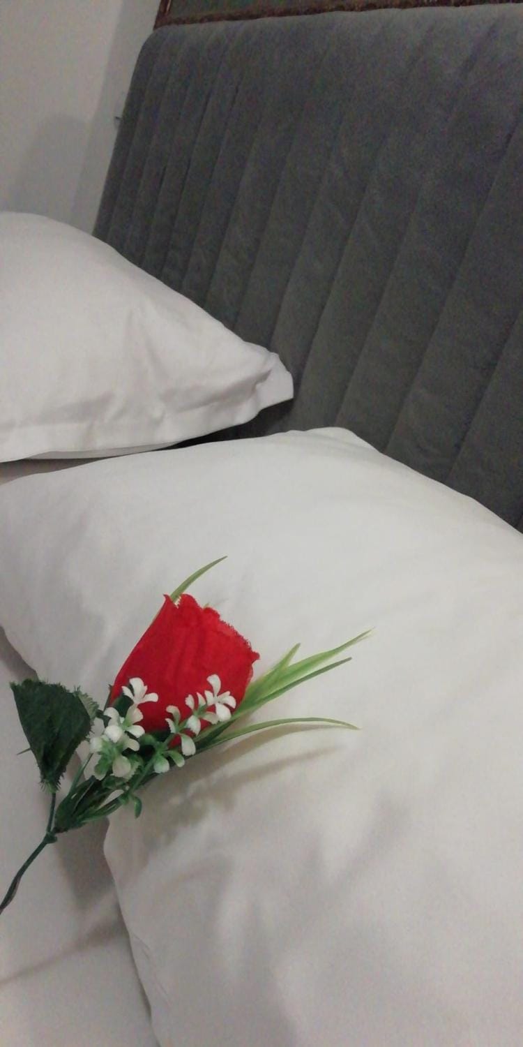 Guest & House A&M -Rooms 4 you Vacation rental in Sibiu